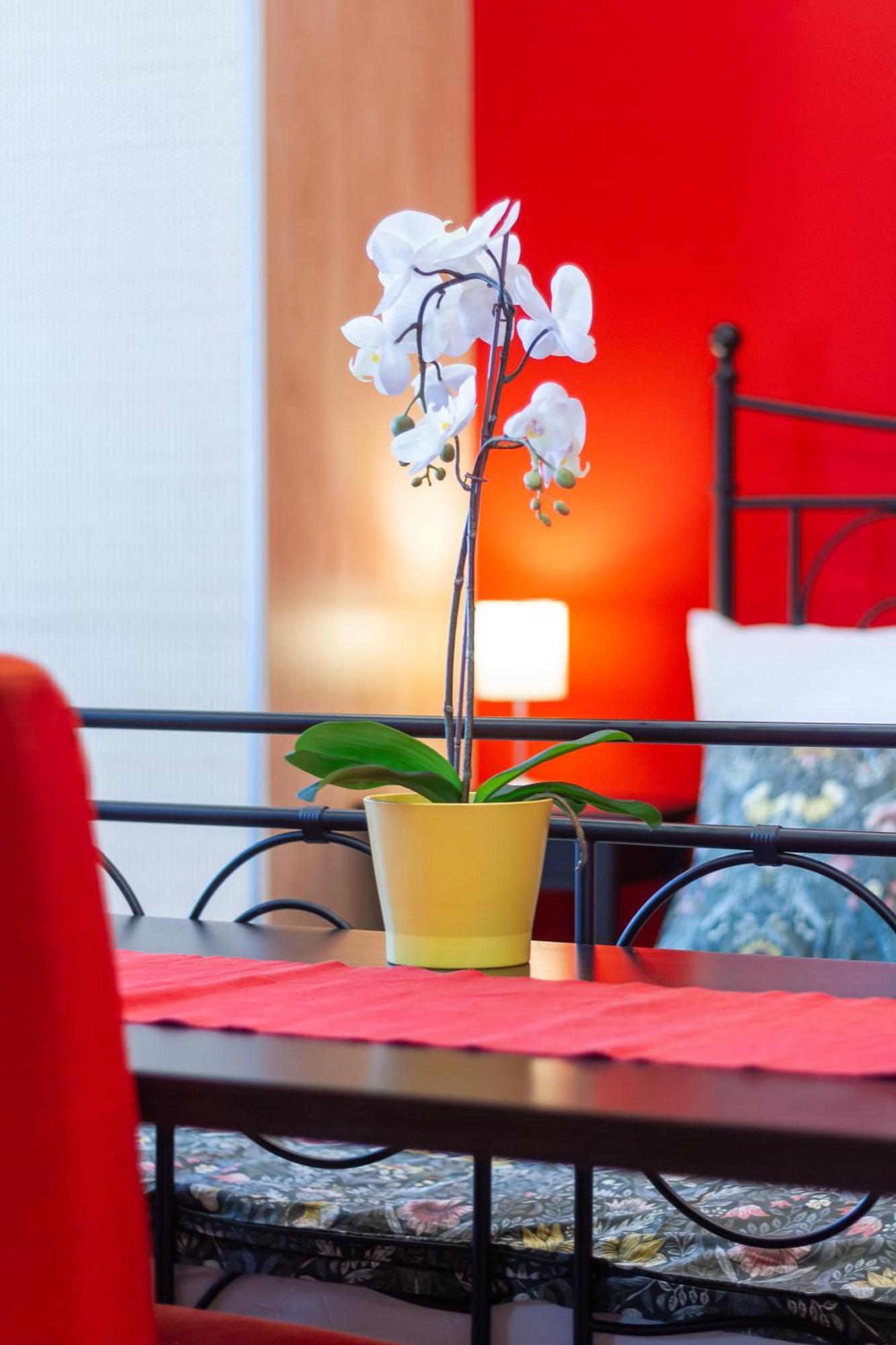 Badepest Apartment Budapeszt Zewnętrze zdjęcie